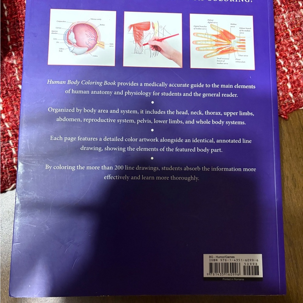 Human Body Coloring Book - Picture 3 of 15
